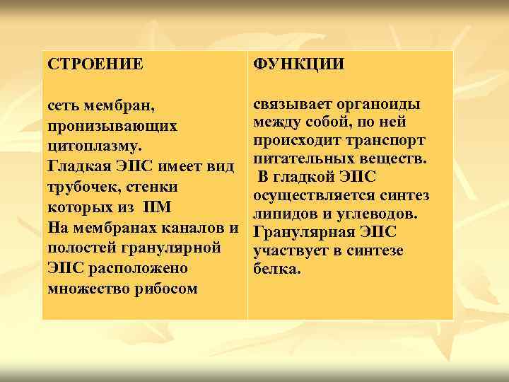 Функции сети. Эндоплазматическая сеть строение и функции таблица. Строение эндоплазматической сети и ее функции таблица. Особенности строения ЭПС. ЭПС особенности строения и функции.