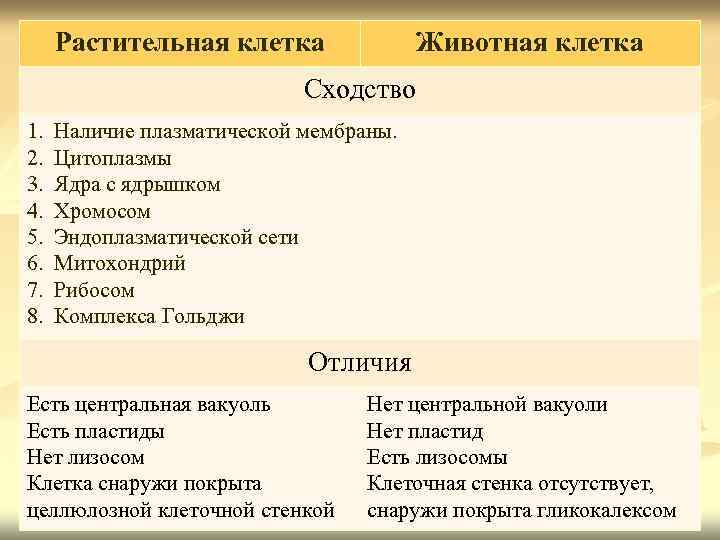 Основные отличия растений. Сходство животной клетки. Сходства животных клеток. Растительная клетка сходства. Сходства и отличия животных и растительных клеток.