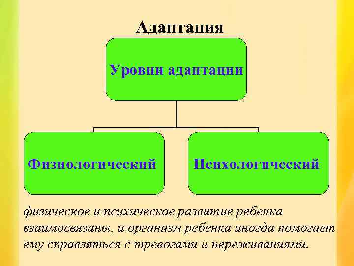 Адаптация Уровни адаптации Физиологический Психологический физическое и психическое развитие ребенка взаимосвязаны, и организм ребенка