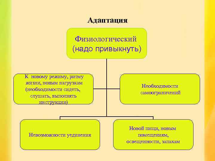 Адаптация Физиологический (надо привыкнуть) К новому режиму, ритму жизни, новым нагрузкам (необходимости сидеть, слушать,