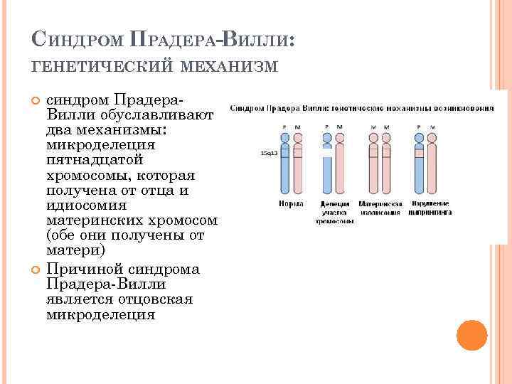 Синдром прадера вилли презентация