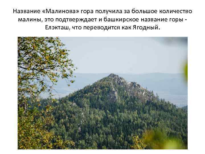 Название «Малинова» гора получила за большое количество малины, это подтверждает и башкирское название горы