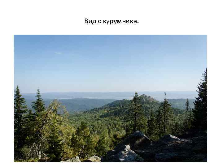 Вид с курумника. 