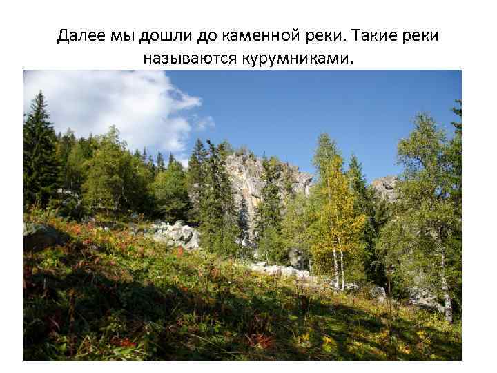 Далее мы дошли до каменной реки. Такие реки называются курумниками. 