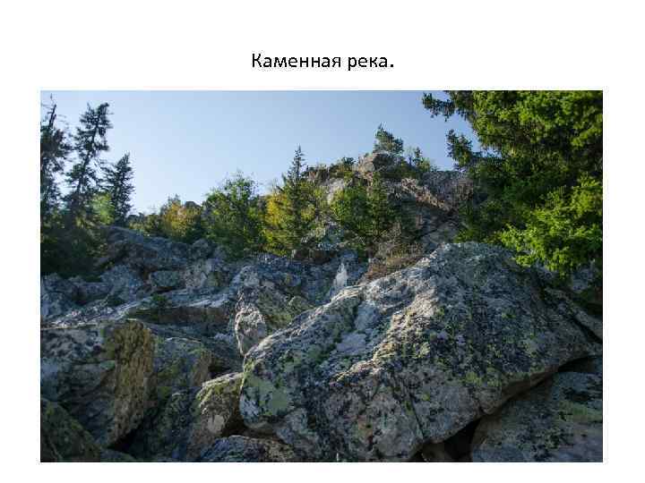 Каменная река. 