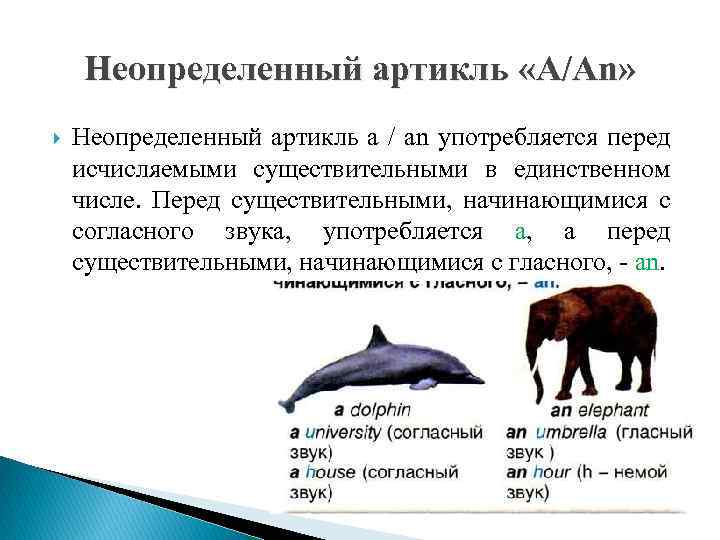Неопределенный артикль «A/An» Неопределенный артикль a / an употребляется перед исчисляемыми существительными в единственном