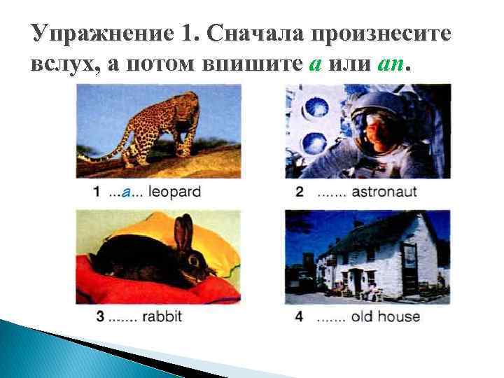 Упражнение 1. Сначала произнесите вслух, а потом впишите a или an. 