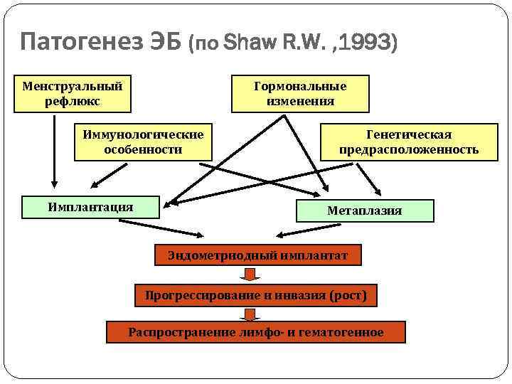 Патогенез ЭБ (по Shaw R. W. , 1993) Менструальный рефлюкс Гормональные изменения Иммунологические особенности