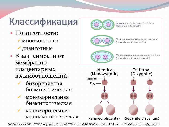 Классификация § По зиготности: ü монозигтоные ü дизиготные § В зависимости от мембранноплацентарных взаимоотношений: