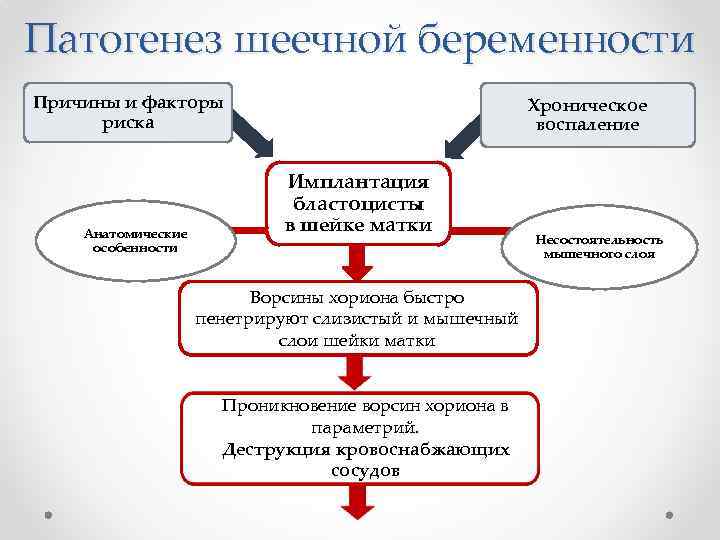 Патогенез шеечной беременности Причины и факторы риска Анатомические особенности Хроническое воспаление Имплантация бластоцисты в