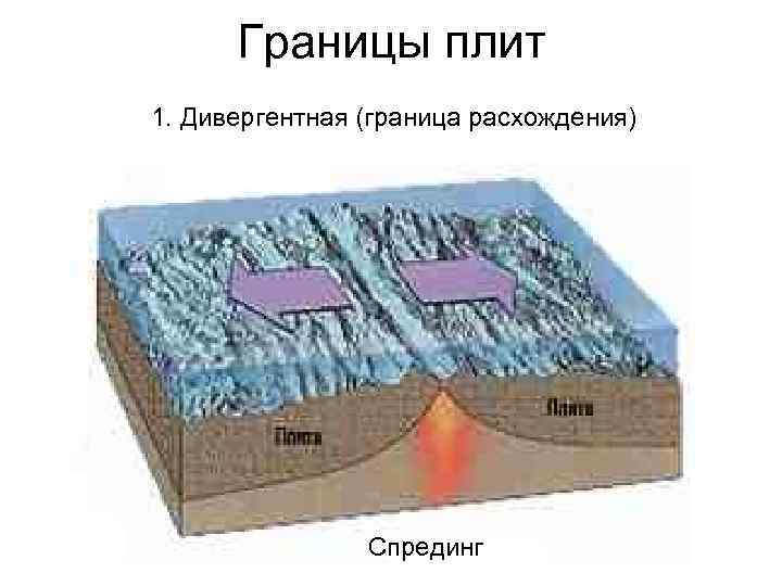 Границы плит 1. Дивергентная (граница расхождения) Спрединг 