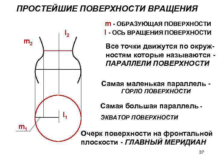 ПРОСТЕЙШИЕ ПОВЕРХНОСТИ ВРАЩЕНИЯ m 2 I 2 m - ОБРАЗУЮЩАЯ ПОВЕРХНОСТИ I - ОСЬ