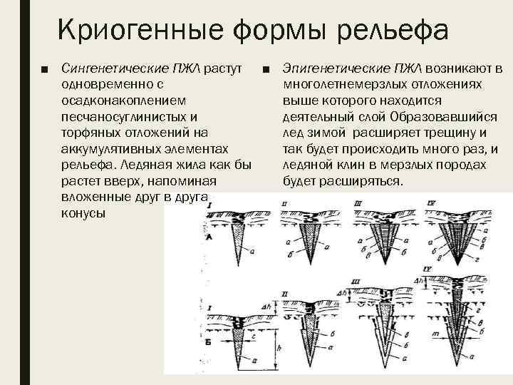 Криогенные формы рельефа ■ Сингенетические ПЖЛ растут ■ Эпигенетические ПЖЛ возникают в многолетнемерзлых отложениях