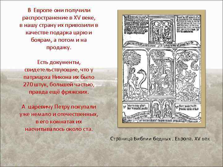 В Европе они получили распространение в XV веке, в нашу страну их привозили в
