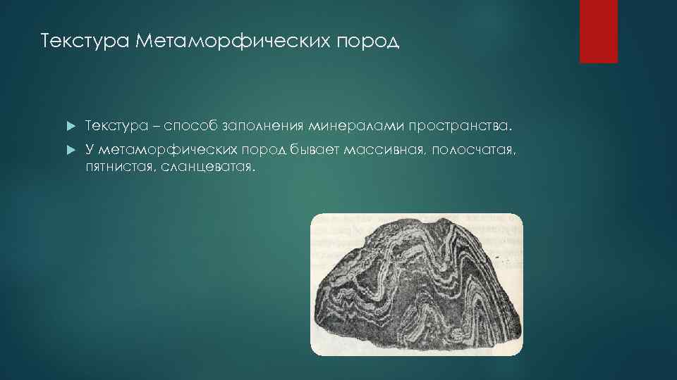 Текстура Метаморфических пород Текстура – способ заполнения минералами пространства. У метаморфических пород бывает массивная,