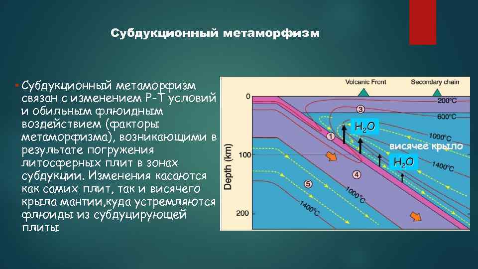Субдукционный метаморфизм связан с изменением Р-Т условий и обильным флюидным воздействием (факторы метаморфизма), возникающими