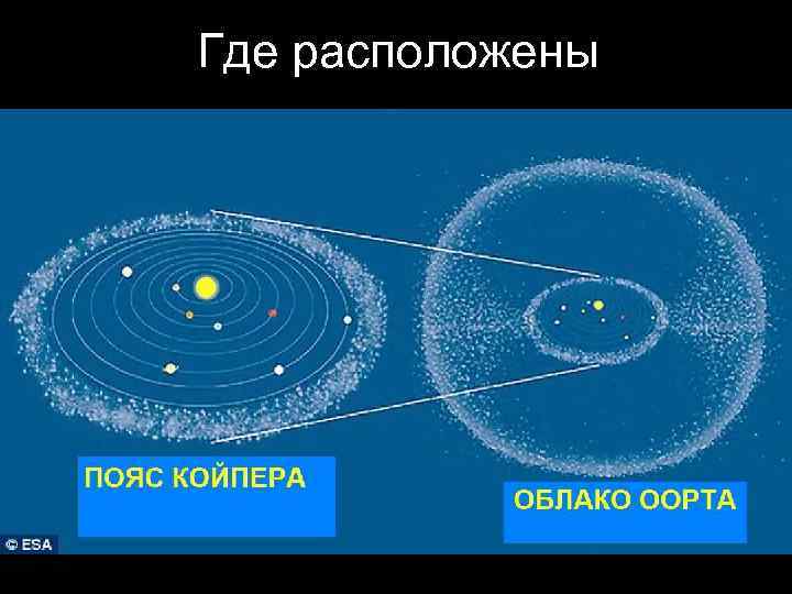 Где расположены 