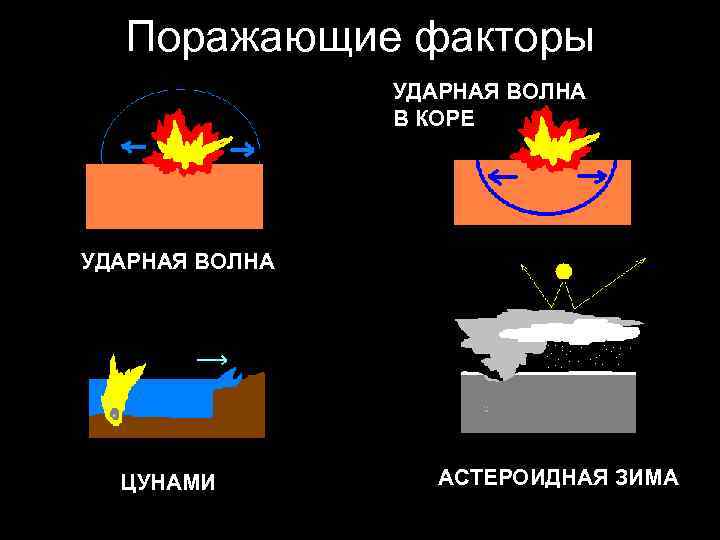 Поражающие факторы УДАРНАЯ ВОЛНА В КОРЕ УДАРНАЯ ВОЛНА ЦУНАМИ АСТЕРОИДНАЯ ЗИМА 