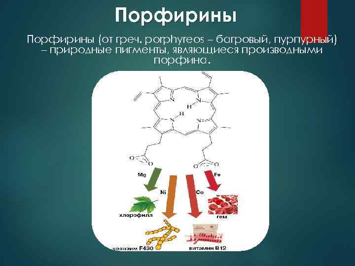Порфирины (от греч. рorphyreos – багровый, пурпурный) – природные пигменты, являющиеся производными порфина. 