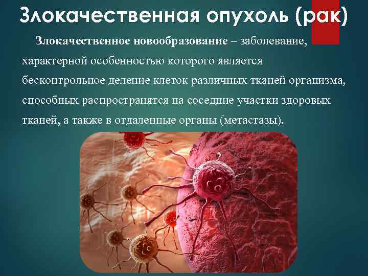 Злокачественная опухоль (рак) Злокачественное новообразование – заболевание, характерной особенностью которого является бесконтрольное деление клеток