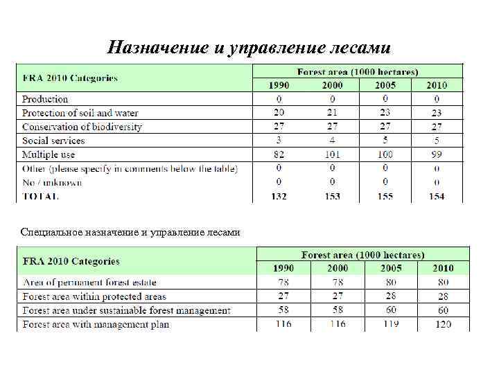 Назначение и управление лесами Специальное назначение и управление лесами 