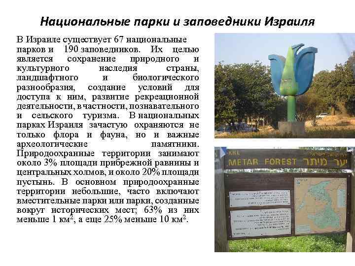 Национальные парки и заповедники Израиля В Израиле существует 67 национальные парков и 190 заповедников.