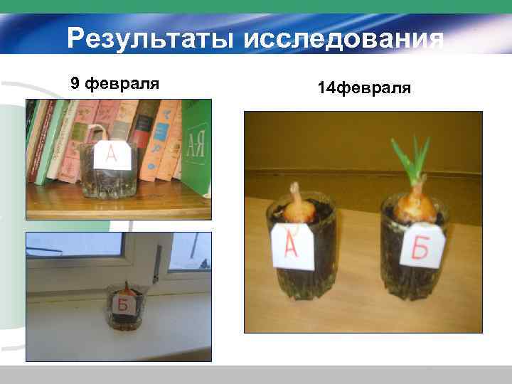 Результаты исследования 9 февраля 14 февраля 