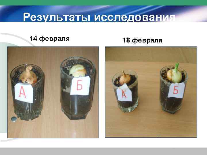 Результаты исследования 14 февраля 18 февраля 