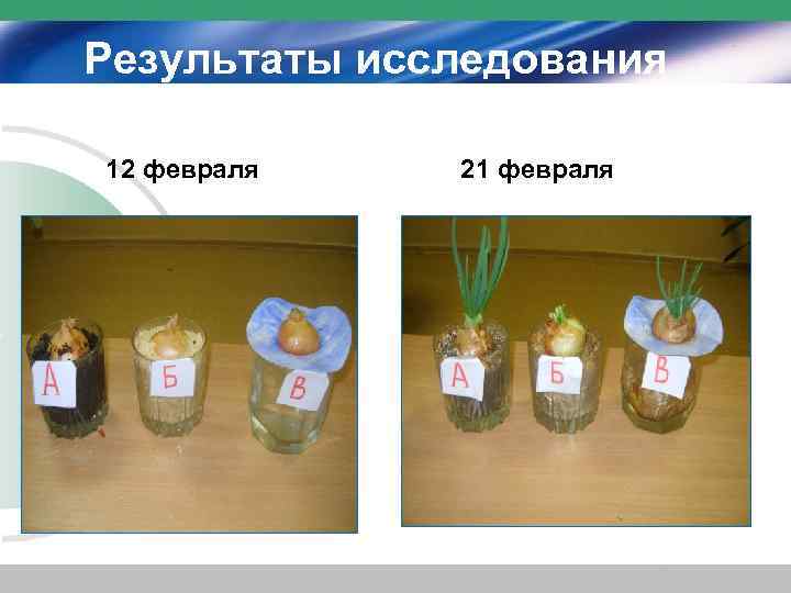 Результаты исследования 12 февраля 21 февраля 