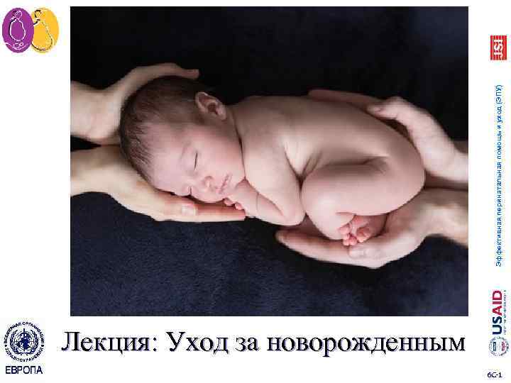 Лекция: Уход за новорожденным 6 C 1 Эффективная перинатальная помощь и уход (ЭПУ) 