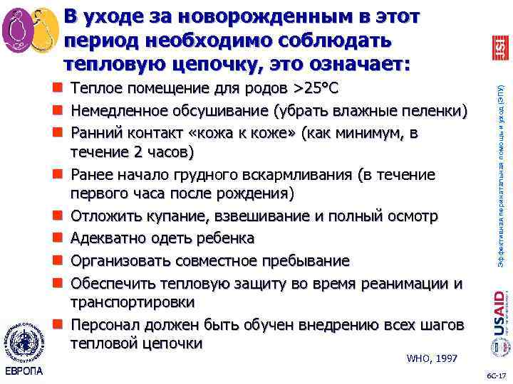 Первый туалет новорожденного понятие о тепловой цепочке