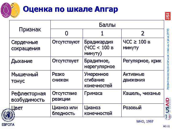 Признак 0 Баллы 1 2 Сердечные сокращения Отсутствуют Брадикардия (ЧСС < 100 в минуту)