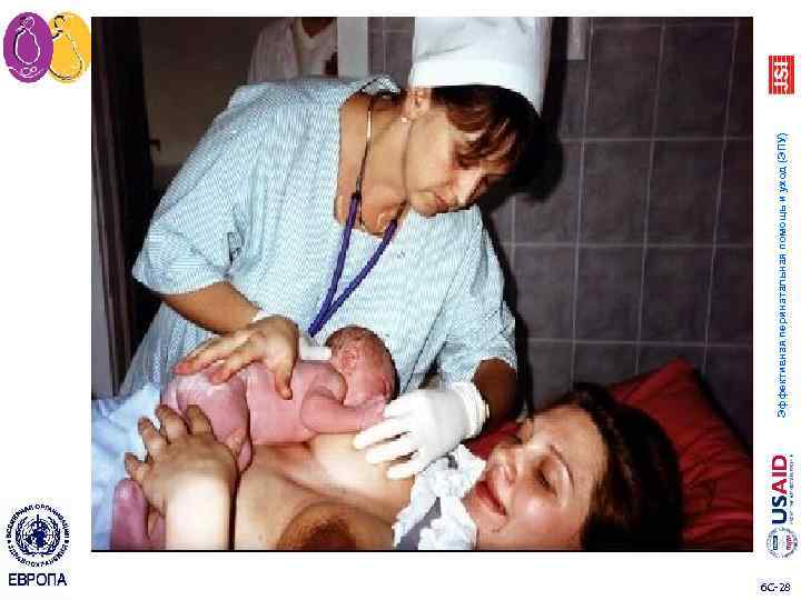 6 C 28 Эффективная перинатальная помощь и уход (ЭПУ) 