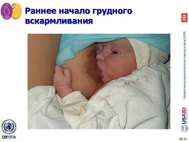 Эффективная перинатальная помощь и уход (ЭПУ) Раннее начало грудного вскармливания 6 C 33 