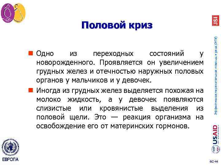 n Одно из переходных состояний у новорожденного. Проявляется он увеличением грудных желез и отечностью