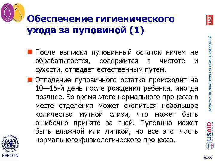 n После выписки пуповинный остаток ничем не обрабатывается, содержится в чистоте и сухости, отпадает