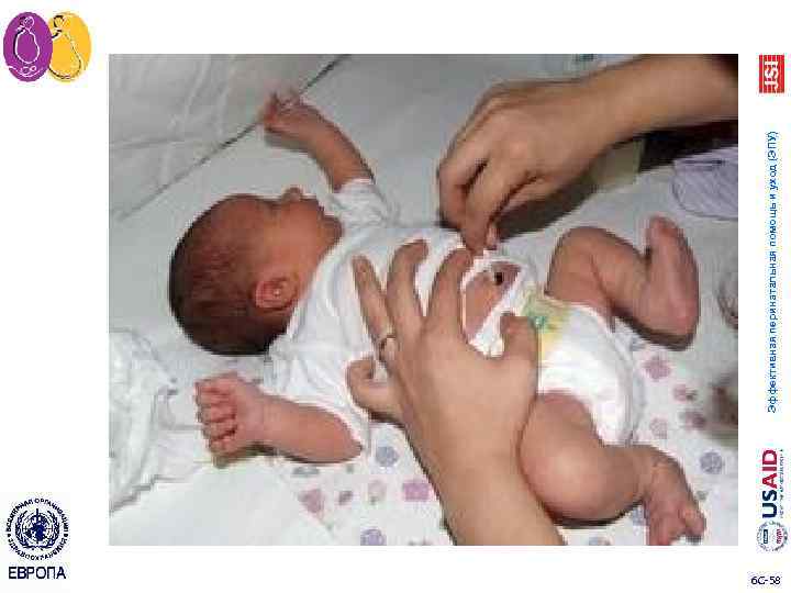 6 C 58 Эффективная перинатальная помощь и уход (ЭПУ) 