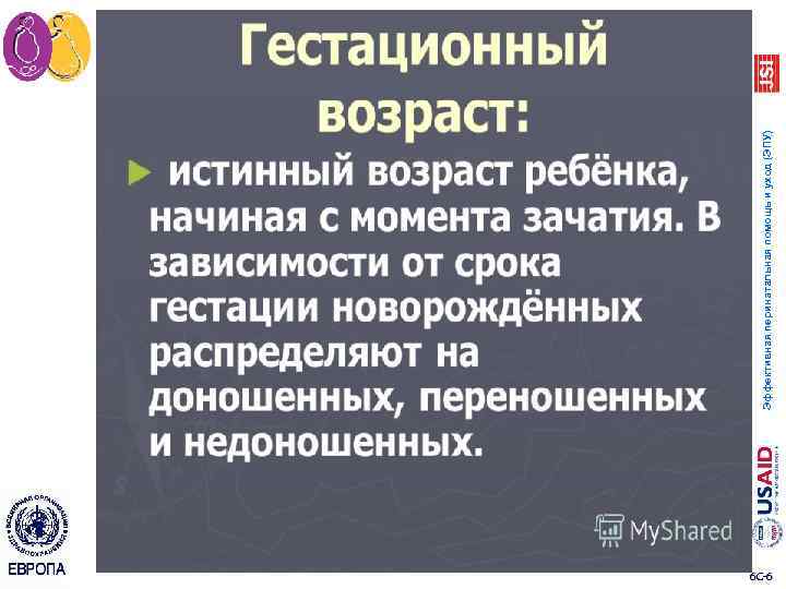 6 C 6 Эффективная перинатальная помощь и уход (ЭПУ) 