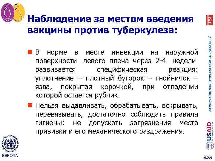 n В норме в месте инъекции на наружной поверхности левого плеча через 2 4
