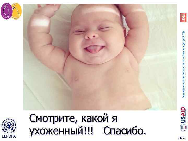 Эффективная перинатальная помощь и уход (ЭПУ) Смотрите, какой я ухоженный!!! Спасибо. 6 C 77