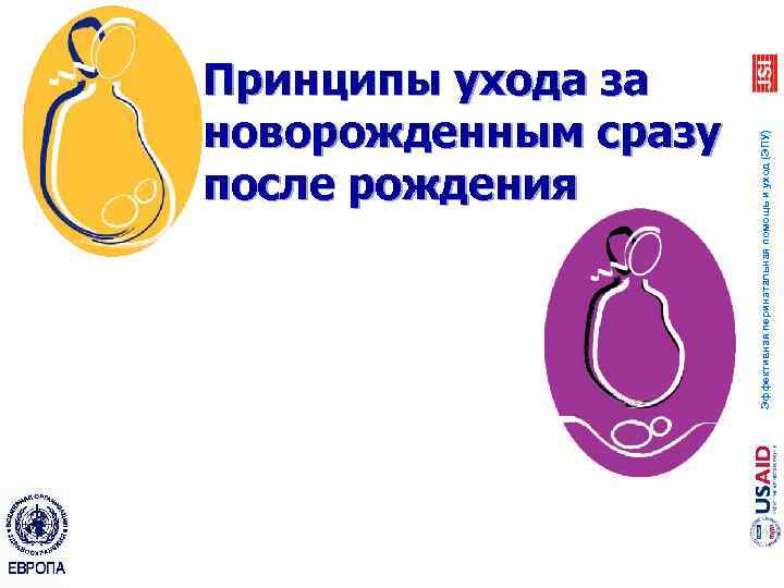 Эффективная перинатальная помощь и уход (ЭПУ) Принципы ухода за новорожденным сразу после рождения 