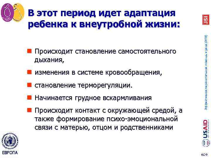 n Происходит становление самостоятельного дыхания, n изменения в системе кровообращения, n становление терморегуляции. n