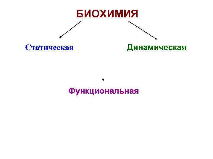 БИОХИМИЯ Статическая Динамическая Функциональная 