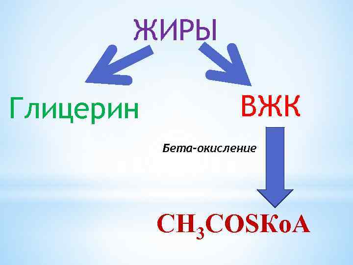 ЖИРЫ Глицерин ВЖК Бета-окисление СН 3 СОSКо. А 