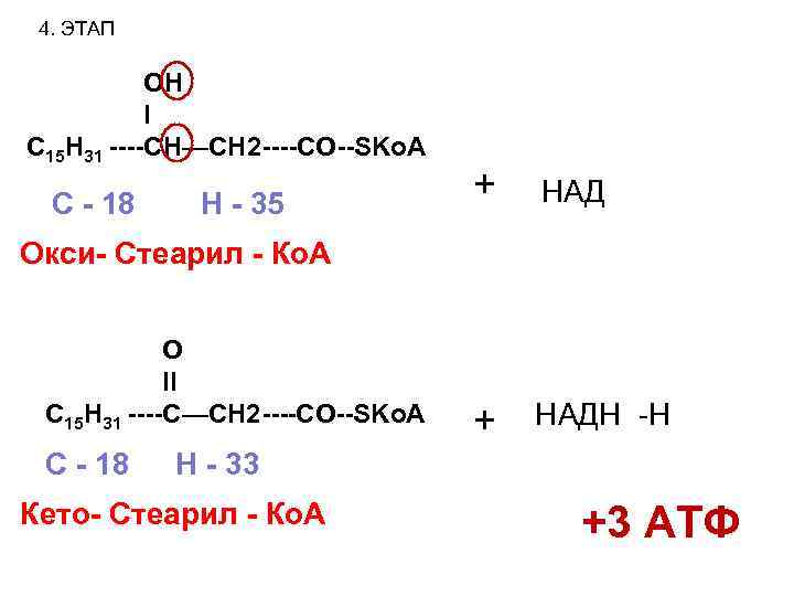 4. ЭТАП OH I C 15 H 31 ----CH—CH 2 ----CO--SKo. A С -
