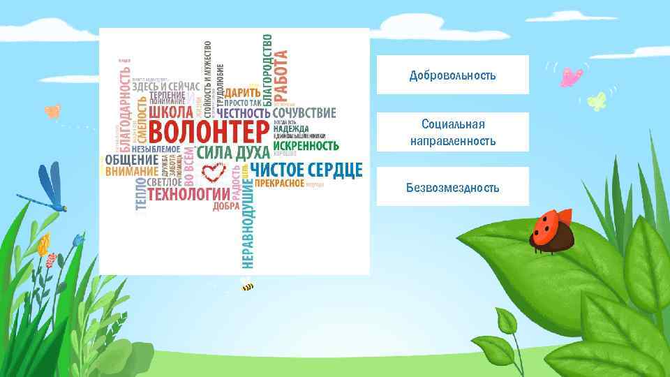 Добровольность Социальная направленность Безвозмездность 