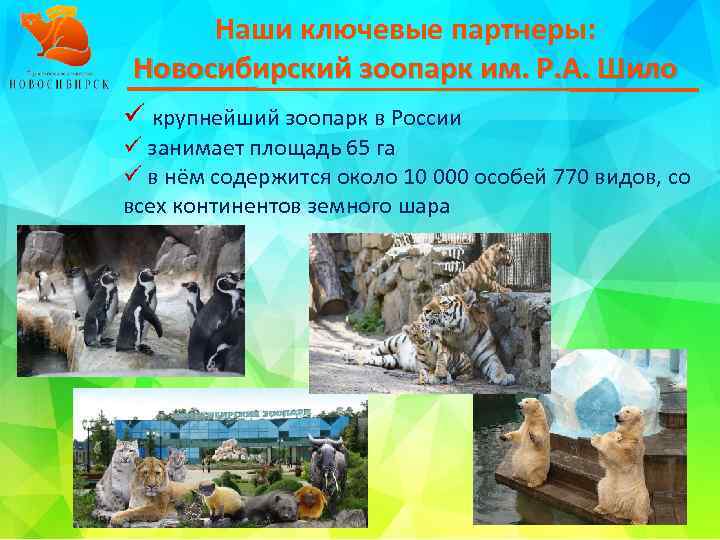 Наши ключевые партнеры: Новосибирский зоопарк им. Р. А. Шило ü крупнейший зоопарк в России