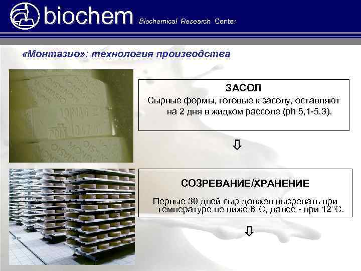 biochem Biochemical Research Center «Монтазио» : технология производства ЗАСОЛ Сырные формы, готовые к засолу,