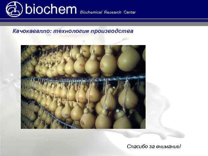 biochem Biochemical Research Center Качокавалло: технология производства Спасибо за внимание! 