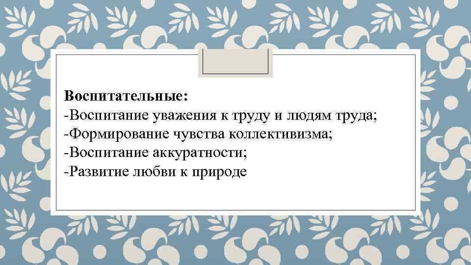 Воспитательные: -Воспитание уважения к труду и людям труда; -Формирование чувства коллективизма; -Воспитание аккуратности; -Развитие
